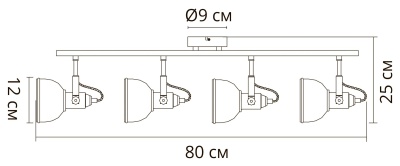 Спот Arte Lamp Martin A5215PL-4WG