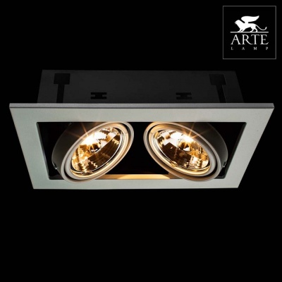 Встраиваемый светильник Arte Lamp Technika 2 A5930PL-2WH