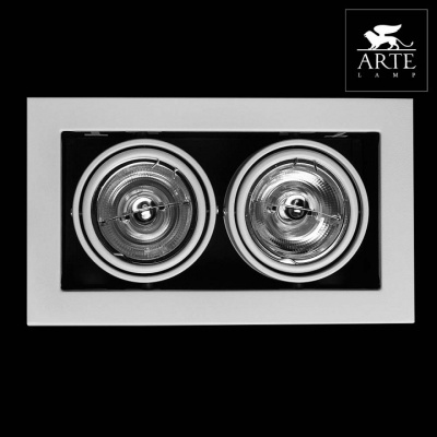Встраиваемый светильник Arte Lamp Technika 2 A5930PL-2WH
