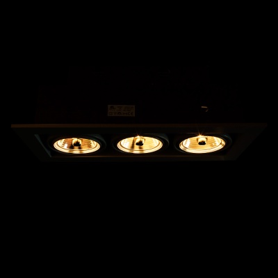 Встраиваемый светильник Arte Lamp Technika 2 A5930PL-3WH