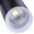 Светильник на штанге Arte Lamp Hubble A6813PL-1BK Светильник на штанге Arte Lamp Hubble A6813PL-1BK