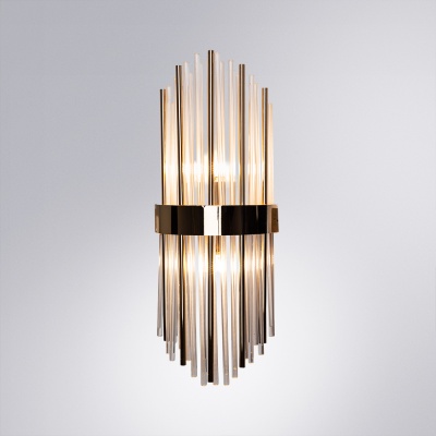 Накладной светильник Arte Lamp Acapulco A1007AP-2GO