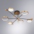 Люстра на штанге Arte Lamp Holly A1364PL-6PB Люстра на штанге Arte Lamp Holly A1364PL-6PB