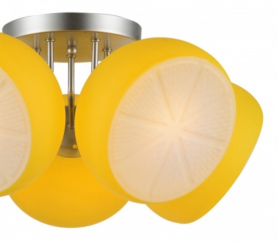 Потолочная люстра ST-Luce Arancio SL482.902.05