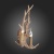Бра ST-Luce Renna SL153.701.02 Бра ST-Luce Renna SL153.701.02