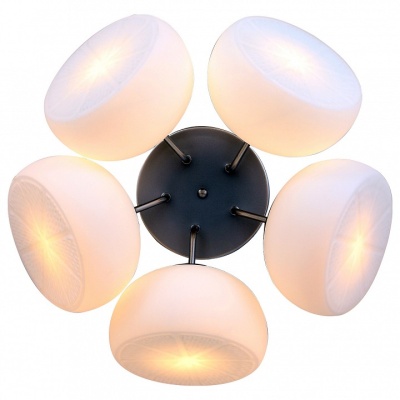 Потолочная люстра ST-Luce Arancio SL482.502.05