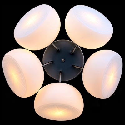 Потолочная люстра ST-Luce Arancio SL482.502.05