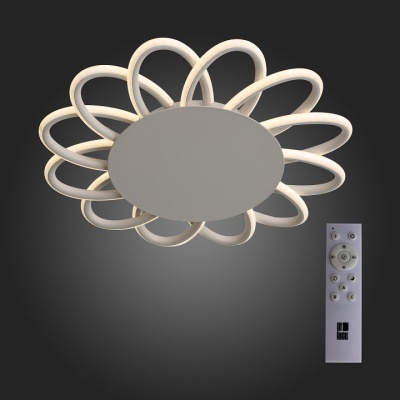 Потолочная люстра ST-Luce Camomilla SL828.502.12