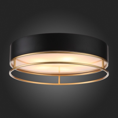 Накладной светильник ST-Luce Chodo SL1127.432.05