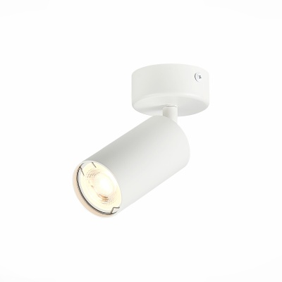Спот ST-Luce Dario ST303.502.01