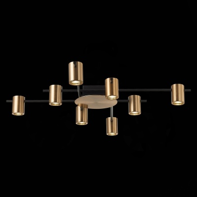 Потолочная люстра ST-Luce Veroli SL1207.402.08