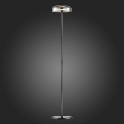 Торшер ST-Luce Lacio SL6002.405.01