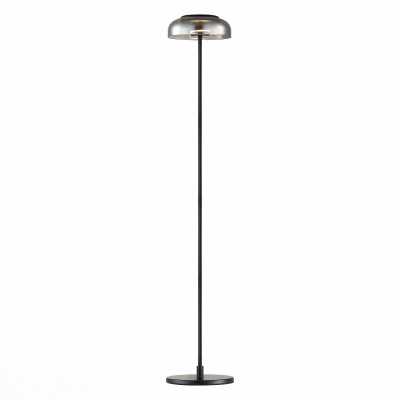 Торшер ST-Luce Lacio SL6002.405.01