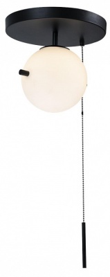 Светильник на штанге Loft it Signal 10029C Black
