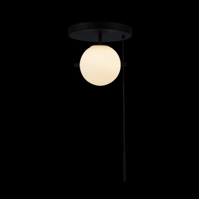 Светильник на штанге Loft it Signal 10029C Black
