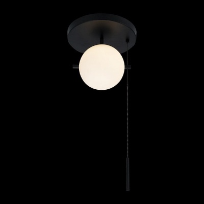 Светильник на штанге Loft it Signal 10029C Black
