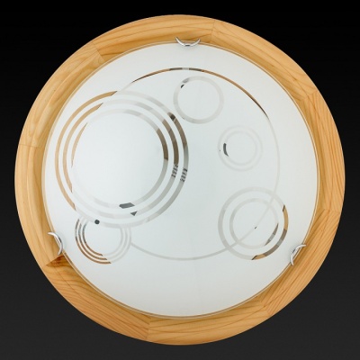 Накладной светильник TopLight Margaret TL9003Y-02PN