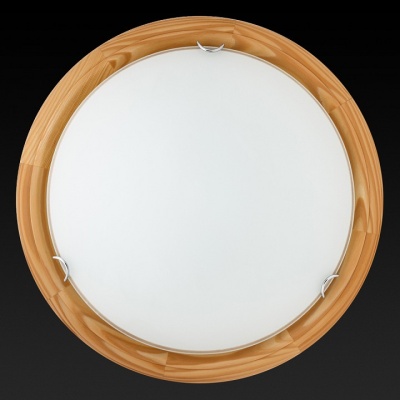Накладной светильник TopLight Hillary TL9023Y-02PN