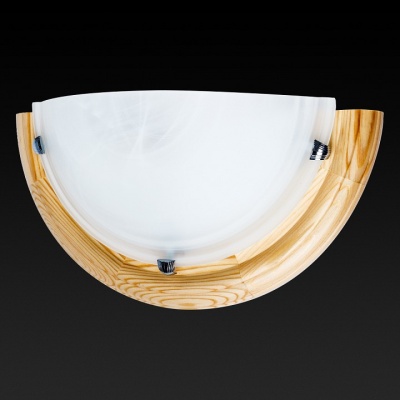 Накладной светильник TopLight Irma TL9070Y-01PN