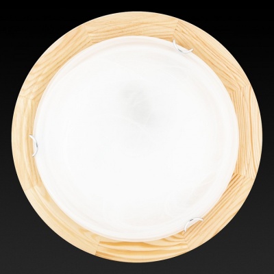 Накладной светильник TopLight Irma TL9073Y-02PN