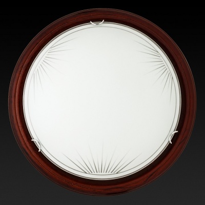 Накладной светильник TopLight Wifa TL9144Y-02PO