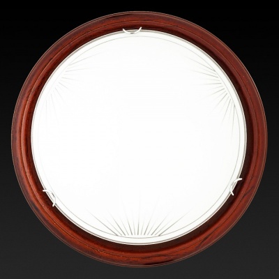 Накладной светильник TopLight Wifa TL9144Y-02PO