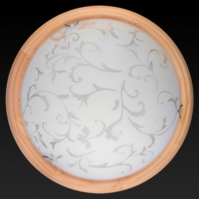 Накладной светильник TopLight Daniela TL9530Y-00PN