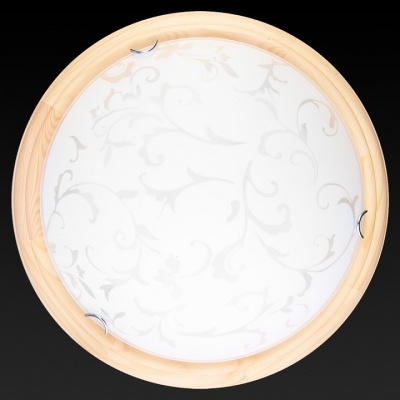 Накладной светильник TopLight Daniela TL9530Y-00PN