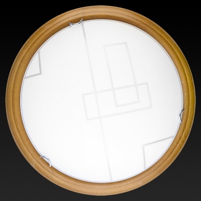 Накладной светильник TopLight Debora TL9540Y-00OA