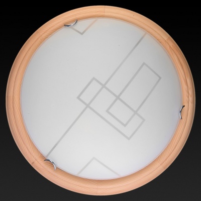 Накладной светильник TopLight Debora TL9540Y-00PN