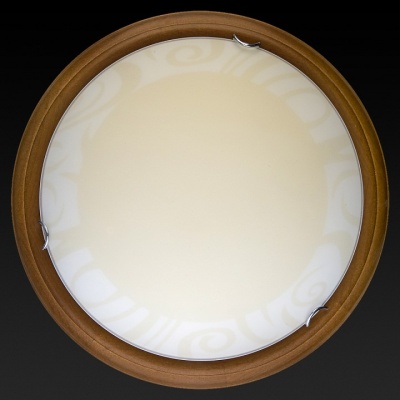 Накладной светильник TopLight Ginger TL9620Y-00OA