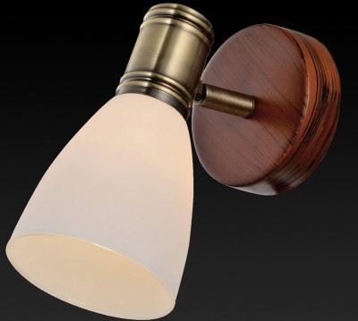 Спот TopLight Sharyl TL3720Y-01BB