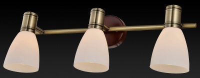 Спот TopLight Sharyl TL3720Y-03BB