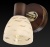 Спот TopLight Shayla TL3730Y-01BB