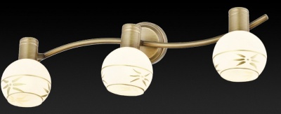 Спот TopLight Sharleen TL3790Y-03AB