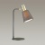 Настольная лампа офисная Lumion Marcus 3638/1T