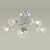 Потолочная люстра Lumion Breana 1 4557/5C