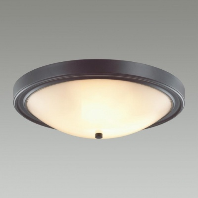 Накладной светильник Lumion Nina 5260/4C