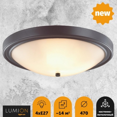 Накладной светильник Lumion Nina 5260/4C