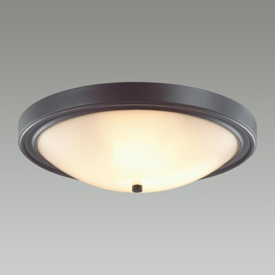 Накладной светильник Lumion Nina 5260/4C
