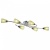 Потолочная люстра Freya Flash FR5104-CL-06-GN