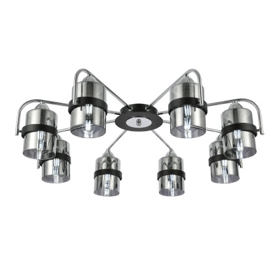 Потолочная люстра EVOLUCE Fiumo SLE102002-08