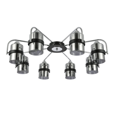 Потолочная люстра EVOLUCE Fiumo SLE102002-08
