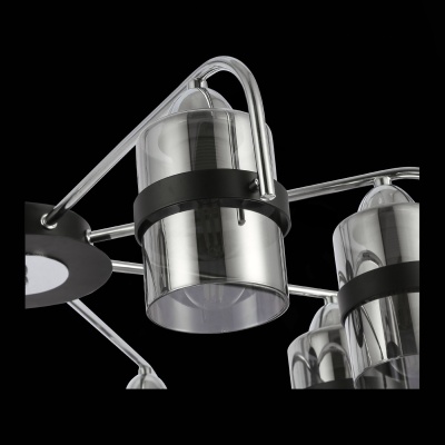 Потолочная люстра EVOLUCE Fiumo SLE102002-08