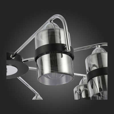 Потолочная люстра EVOLUCE Fiumo SLE102002-08