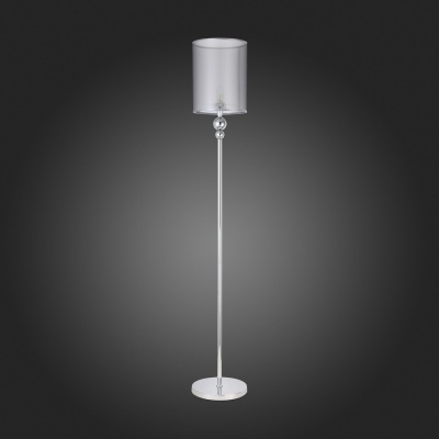 Торшер EVOLUCE Pazione SLE107105-01
