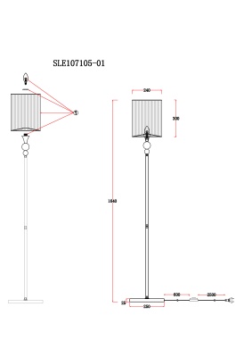 Торшер EVOLUCE Pazione SLE107105-01