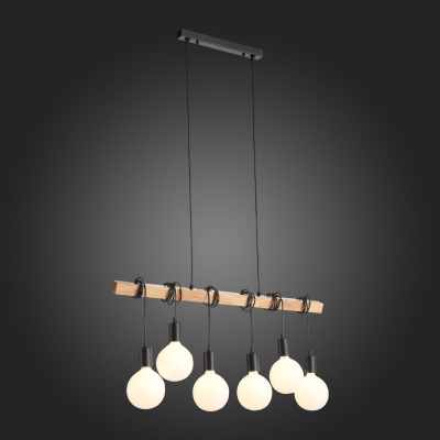 Подвесной светильник EVOLUCE Bagetti SL1142.403.06
