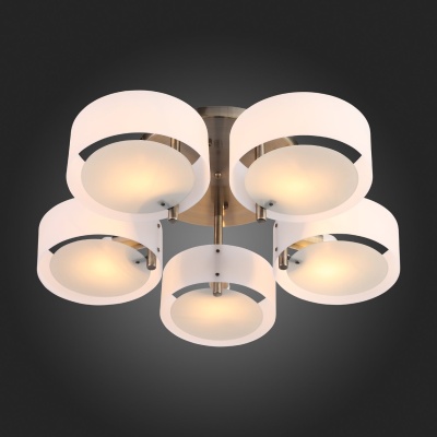 Потолочная люстра EVOLUCE Foresta SL483.352.05
