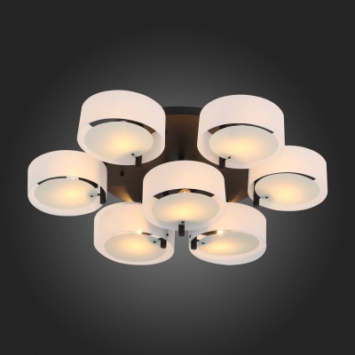 Потолочная люстра EVOLUCE Foresta SL483.402.07